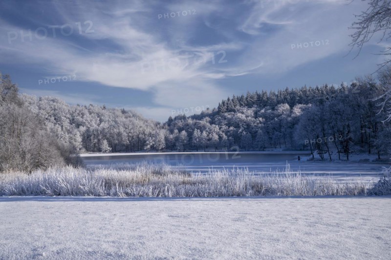 Holzmaar, in winter, nature reserve, Vulkaneifel, Rhineland-Palatinate, Germany, Europe