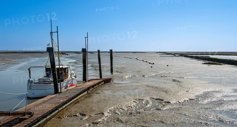 North Sea, Wadden Sea at low tide, Sankt-Peter Ording, Schleswig-Holstein, Germany, Europe