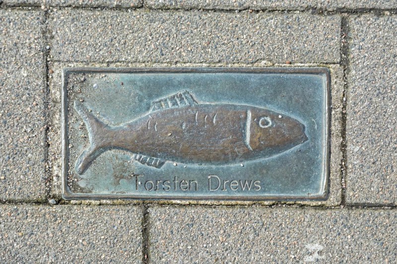 Bronze Clupeidae, pavement, Torsten Drews, harbour, Kappeln, Schlei, Schleswig-Holstein, Germany, Europe