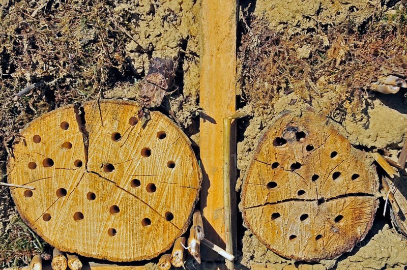 Nesting aid for wild bees and other insects with wooden logs, wild bee nesting aid, insect nesting aid, insect hotel