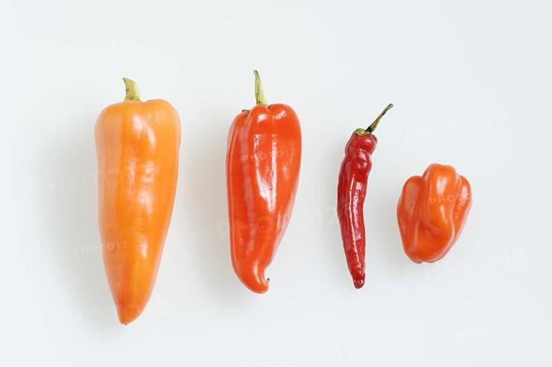 Paprika (Capsicum annuum) and chilli (Capsicum frutescens) on a white background, pepper, pepper, chilli pepper, chilli pepper