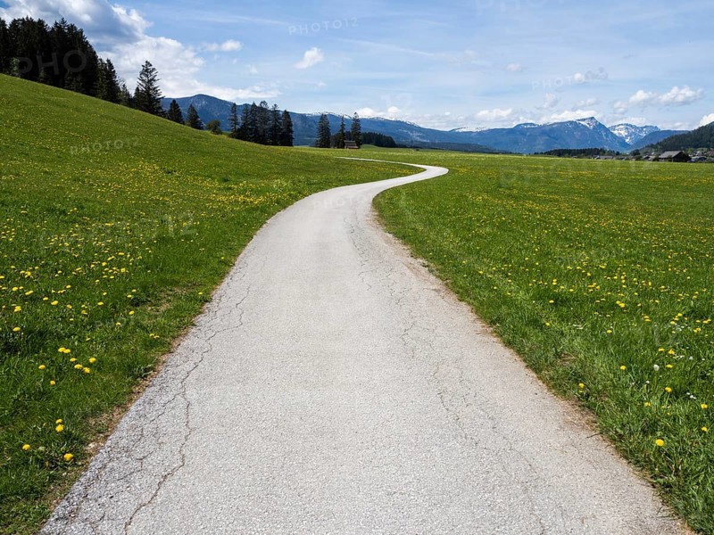 Path leads through green meadows, Salzkammergut cycle path, cloudy mood over mountain peaks, near Bad Mitterndorf, Styria, Austria, Europe