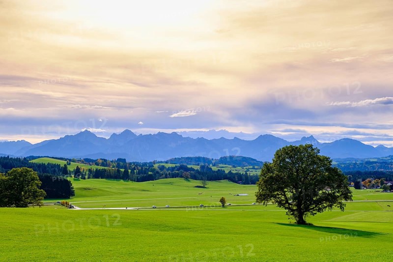 At the Egg viewpoint, in the background Ammergau and Allgaeu Alps, Steingaden, Upper Bavaria. Bavaria, Germany, Europe