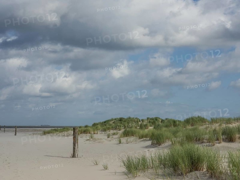 Beach with dunes, grass and an old wooden post under a cloudy sky, lonely beach with dune grass in the neighbouring dune and marker post, clouds playing in the sky, Spiekeroog, Germany, Europe