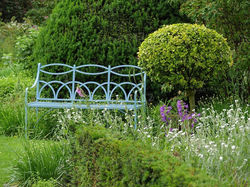 Metal garden bench in a green garden, surrounded by shrubs, bushes and blooming purple and white flowers, peaceful atmosphere, park bench on metal in a green garden at summertime, steinfurt, germany