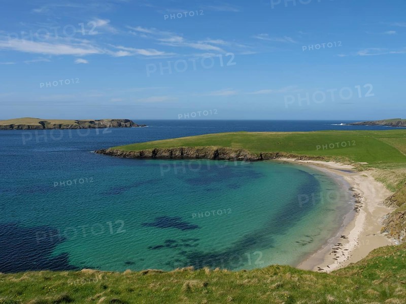 Small bay with clear water and a sandy beach surrounded by green grassland and a wide blue sky, golden beach with green meadows on a deep blue sea with blue sky, lerwick, shetland, Scotland, United Kingdom, Europe