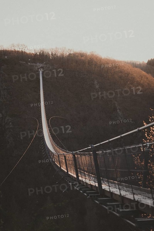 A bridge leads through autumnal trees in the subdued light of dusk. Suspension rope bridge Moersdorf, Germany, Europe