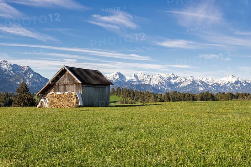 Wooden hut near Fuessen, woodpile, Allgaeu Alps, snow, meadow, Allgaeu, Bavaria, Germany, Europe