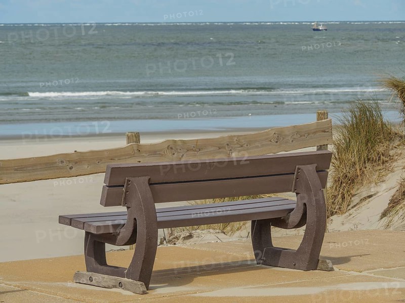 Wooden bench with a view of the sea, with dune grass and a wooden fence in the foreground, beach and dunes with grass and a bench by the sea, nes, ameland, the netherlands