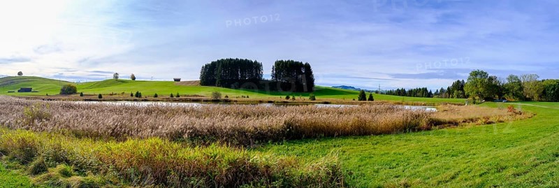 Storchenmoosweiher near Steingaden, Upper Bavaria. Bavaria, Germany, Europe