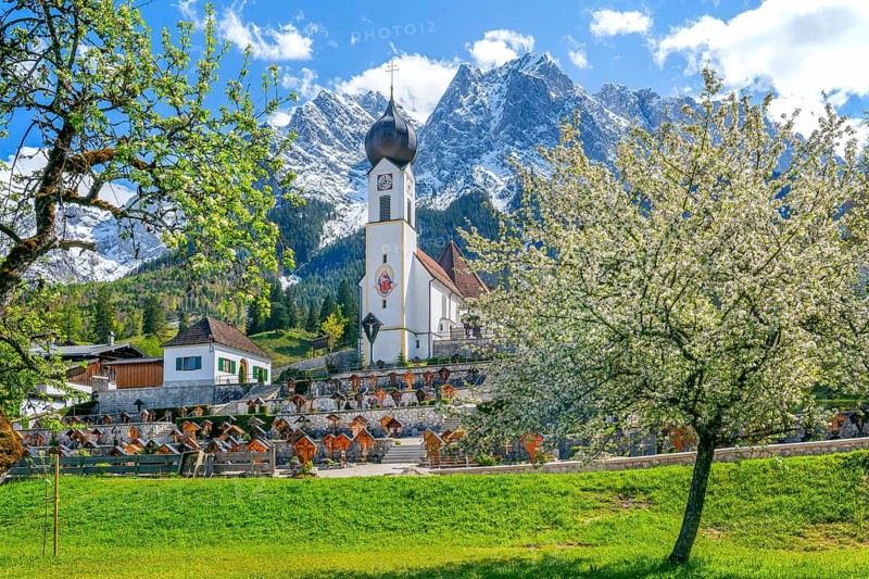 Spring meadow with blossoming trees and parish church in front of the Grosser Waxenstein 2277m in the Wetterstein range, Zugspitz village Grainau, Werdenfelser Land, Bavarian Alps, Upper Bavaria, Bavaria, Germany, Europe
