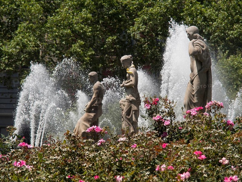 Three statues in a fountain surrounded by blooming flowers and bubbling water fountains, fountain with figures in front of a historic building, barcelona, spain