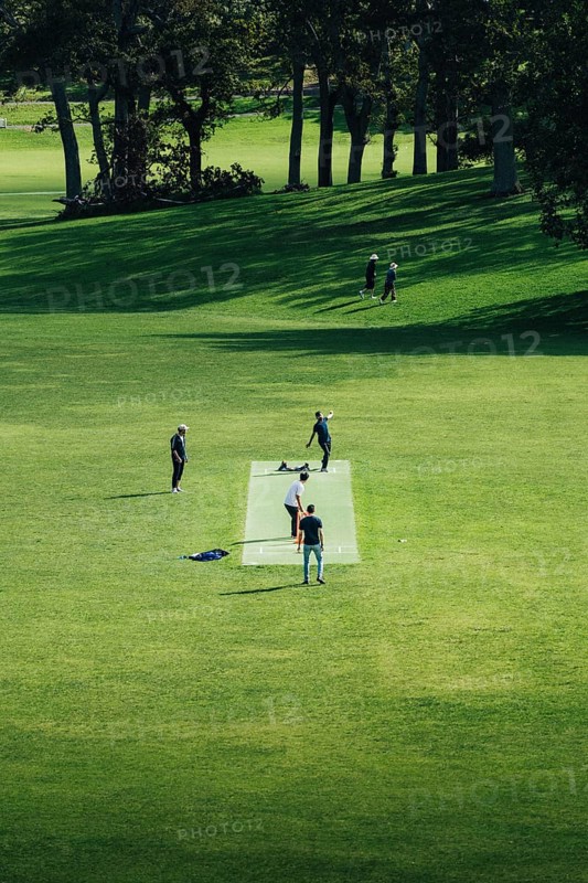 Group of people playing cricket in a meadow in a park in nature. Taken at lunchtime in Auckand, New Zealand, Oceania