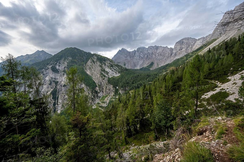 Mountain landscape with rocky mountain peaks and mountain forest, Obere Wolayer Alpe, Carnic High Trail, Carnic Main Ridge, Carnic Alps, Carinthia, Austria, Europe