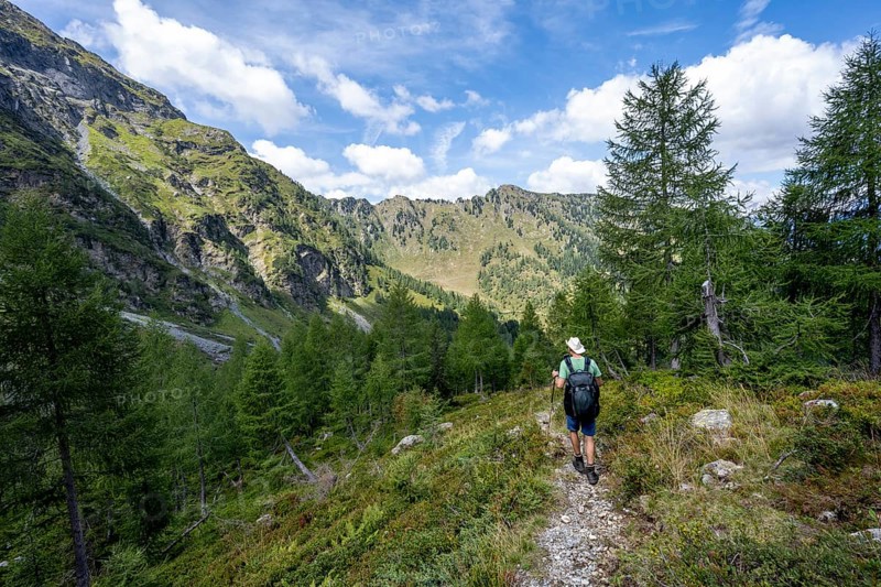 Mountaineer on a hiking trail, mountain landscape with green meadows and larches, Obergailtal, Carnic Main Ridge, Carnic Alps, Carinthia, Austria, Europe