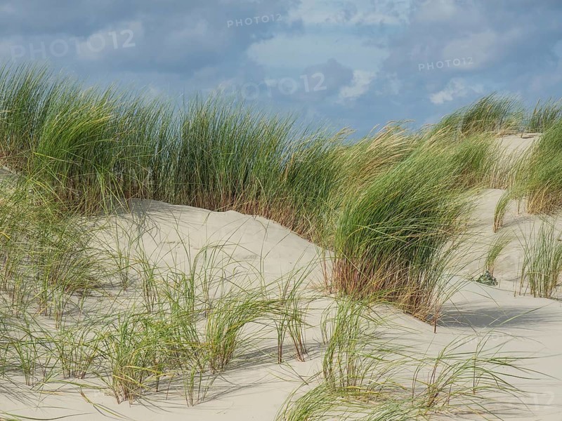 Grassy dunes on a sandy beach under a partly cloudy sky, lonely beach with dune grass in the neighbouring dunes and marker posts, clouds playing in the sky, Spiekeroog, Germany, Europe