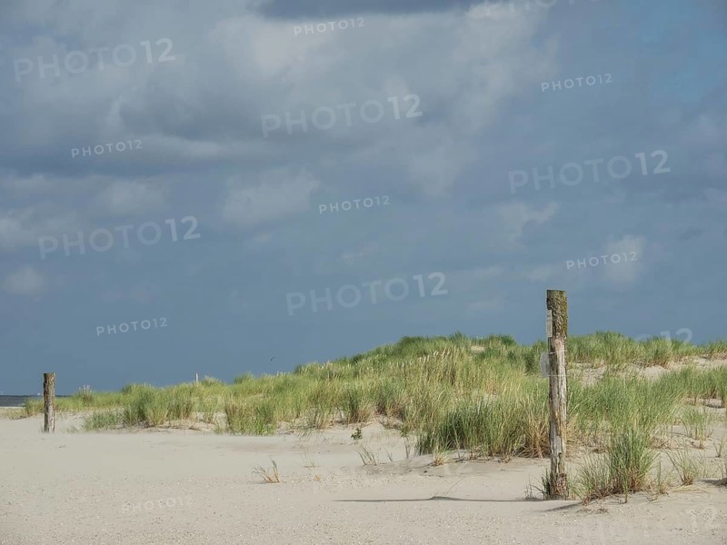 Beach with sand dunes and cloudy sky, peaceful and quiet atmosphere, lonely beach with dune grass in the neighbouring dunes and marker posts, clouds playing in the sky, Spiekeroog, Germany, Europe