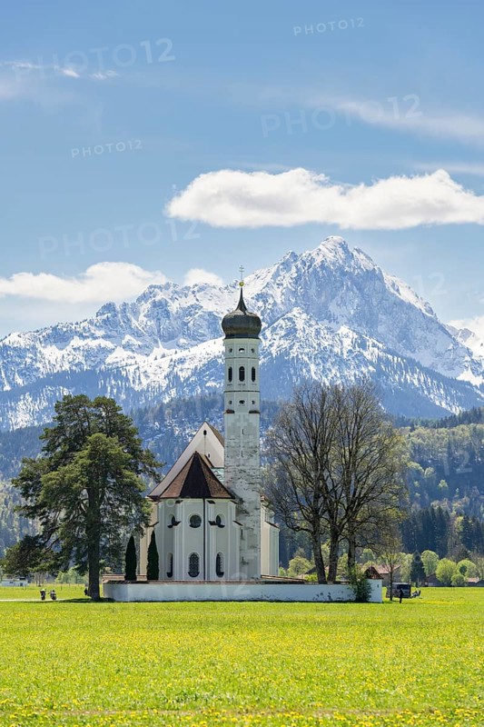 Pilgrimage church of St Coloman in spring, dandelion meadow, Schwangau, Fuessen, Ostallgaeu, Allgaeu, Swabia, Bavaria, Germany, Europe