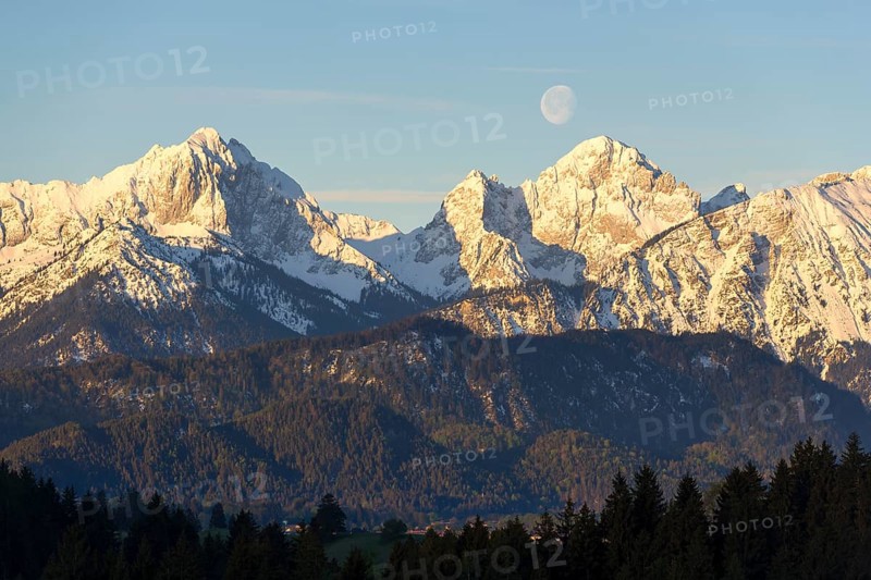 Allgaeu Alps, view from Hegratsrieder See, snow, dawn, moon, Allgaeu, Bavaria, Germany, Europe