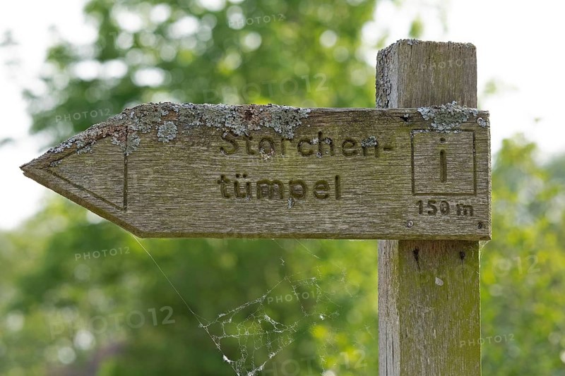 Old signpost, stork pond, Boizenburg, Mecklenburg-Vorpommern, Germany, Europe
