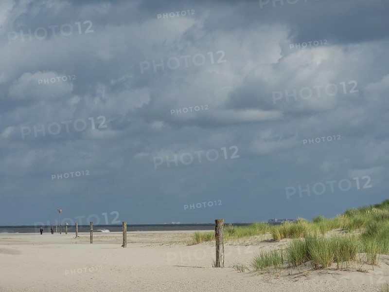Barren sand dunes with tufts of grass and scattered posts, the sky is cloudy, lonely beach with dune grass in the neighbouring dunes and marker posts, clouds play in the sky, Spiekeroog, Germany, Europe