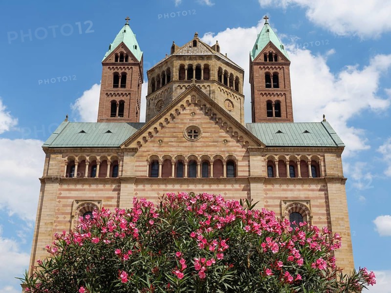 Front view of a historic church with three towers and flowering rose bush in front of it under a blue sky, flowering bush in front of a cathedral with two towers and blue sky, speyer, germany