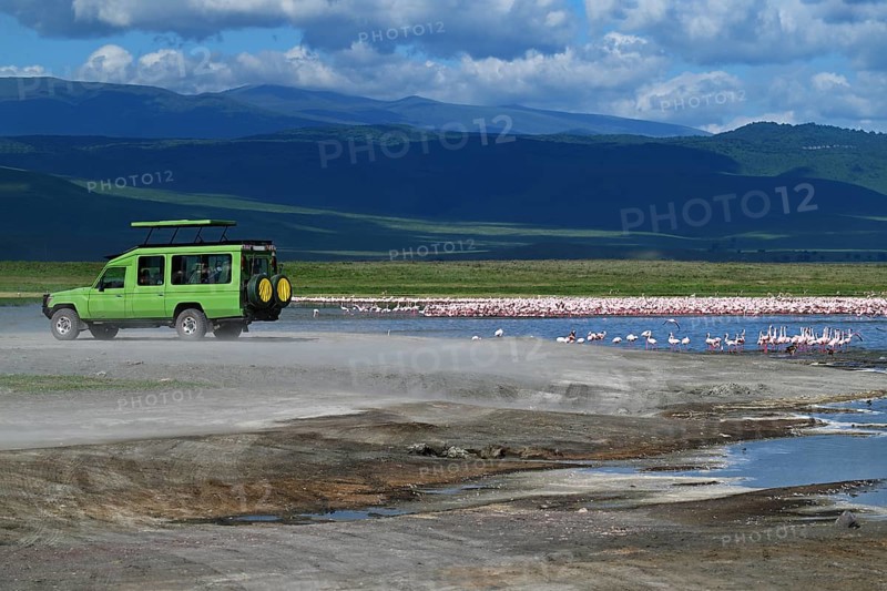 Safari jeep in Ngorongoro Crater, Ngorongoro Conservation Area, Tanzania, Africa
