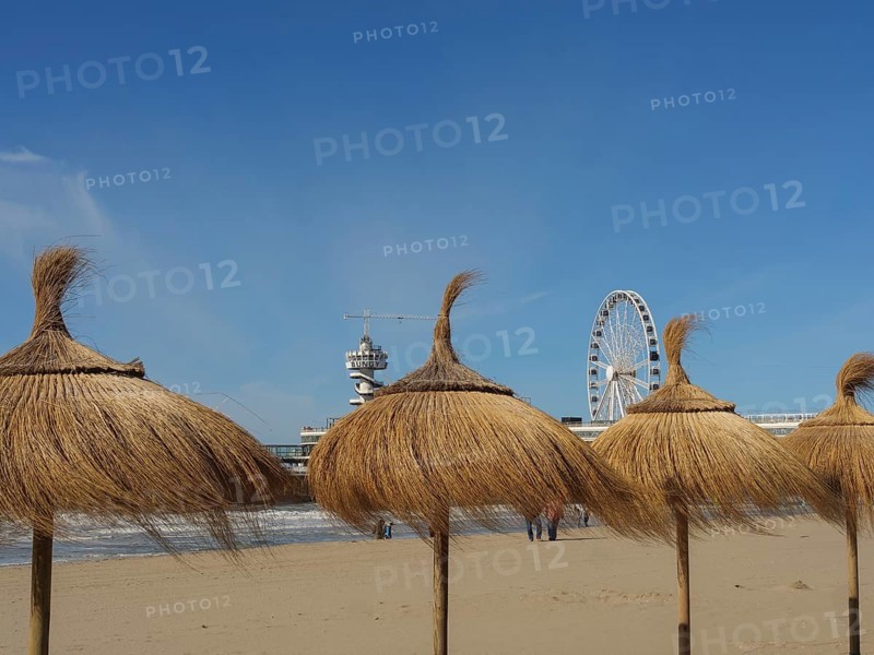 Beach with thatched roofs, Ferris wheel and buildings in the background in sunny weather and blue sky, parasols made of palm leaves on a beach with a sea bridge and a Ferris wheel, scheveningen, the netherlands