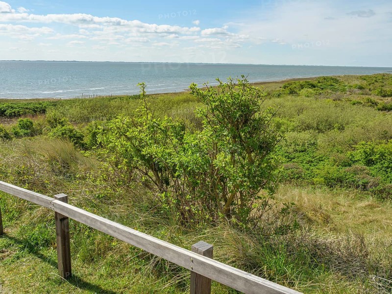 View of the sea through green dunes, a wooden railing runs along the coast, dune and hiking trails on the wadden sea, clouds in the sky, nes, ameland, netherlands