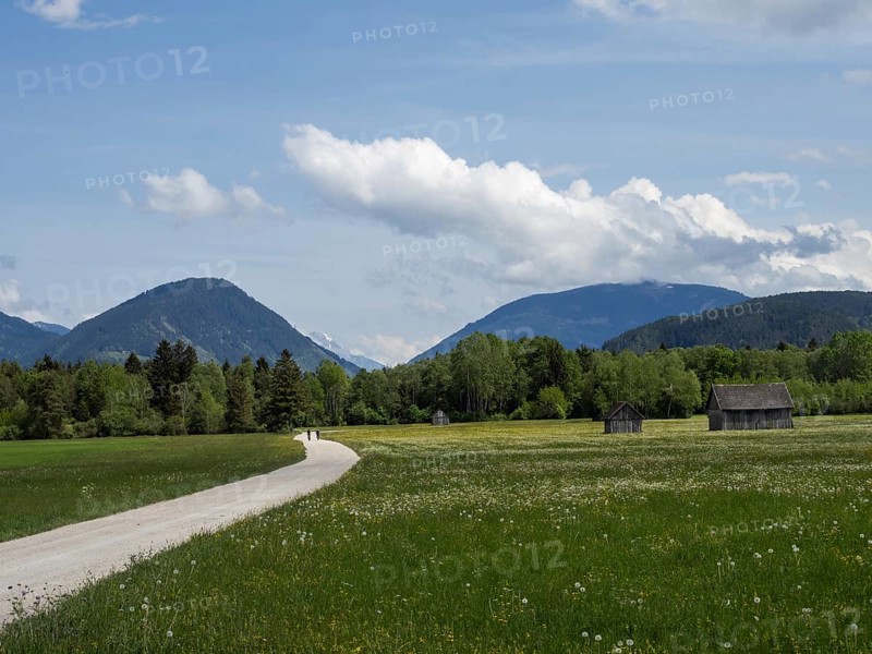 Enns cycle path, near Woerschach, Enns Valley, Styria, Austria, Europe