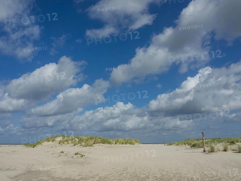Sandy beach dunes under a blue sky with clouds, quiet ambience, lonely beach with dune grass in the neighbouring dunes and marker posts, clouds playing in the sky, Spiekeroog, Germany, Europe