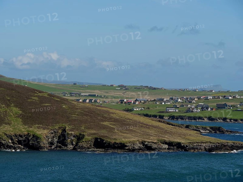 A small village on the coast with green fields and sea views, green meadows on a deep blue sea and a rocky coastline with individual houses, lerwick, shetland, Scotland, United Kingdom, Europe