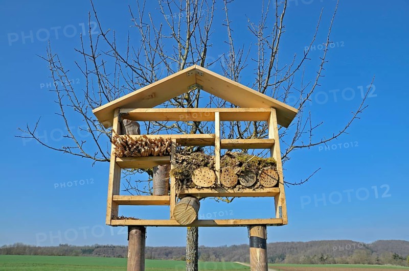 Nesting aid for wild bees and other insects with wood and elder stems, wild bee nesting aid, insect nesting aid, insect hotel