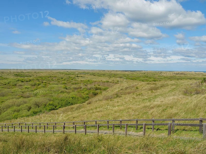 Dune landscape with a wooden path, blue sky and clouds, dune and hiking trails at the wadden sea, clouds in the sky, nes, ameland, netherlands