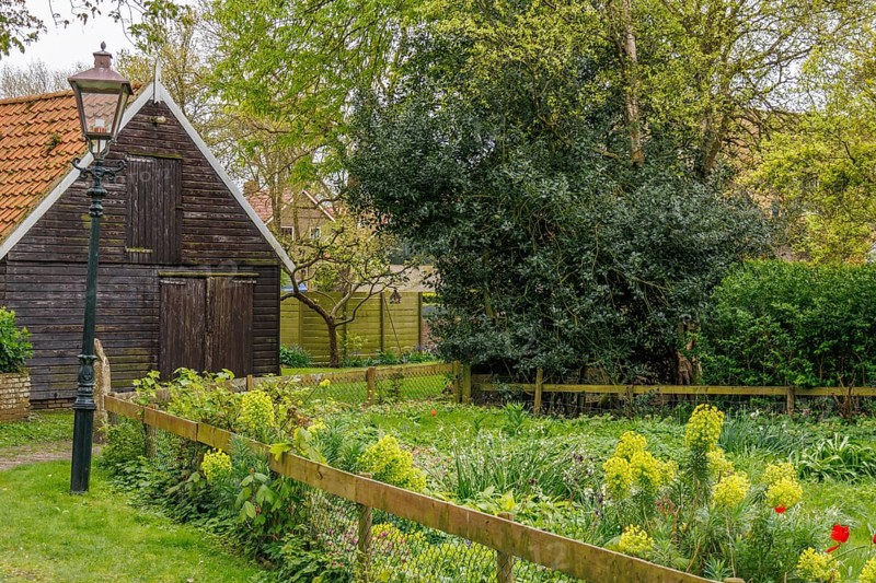 A charming wooden shed and garden with flowering shrubs and wooden fence in a quiet village, old houses with green gardens in a small village, nes, ameland, the netherlands