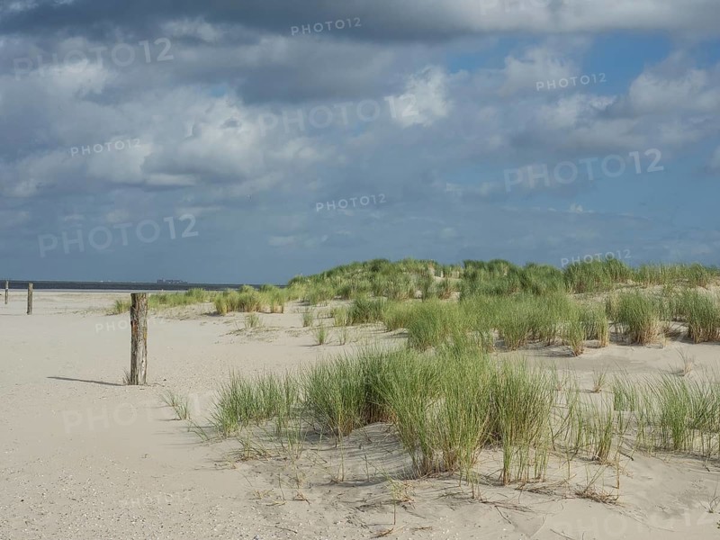 Beach with grassy dunes and a wooden post under a cloudy sky, lonely beach with dune grass in the neighbouring dune and marker post, clouds playing in the sky, Spiekeroog, Germany, Europe