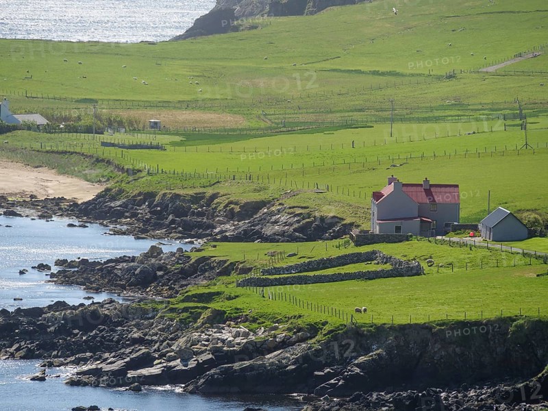 Red house in the middle of green fields near a rocky coast, overlooking the sea, green meadows on a deep blue sea and a rocky coastline with individual houses, lerwick, shetland, Scotland, United Kingdom, Europe