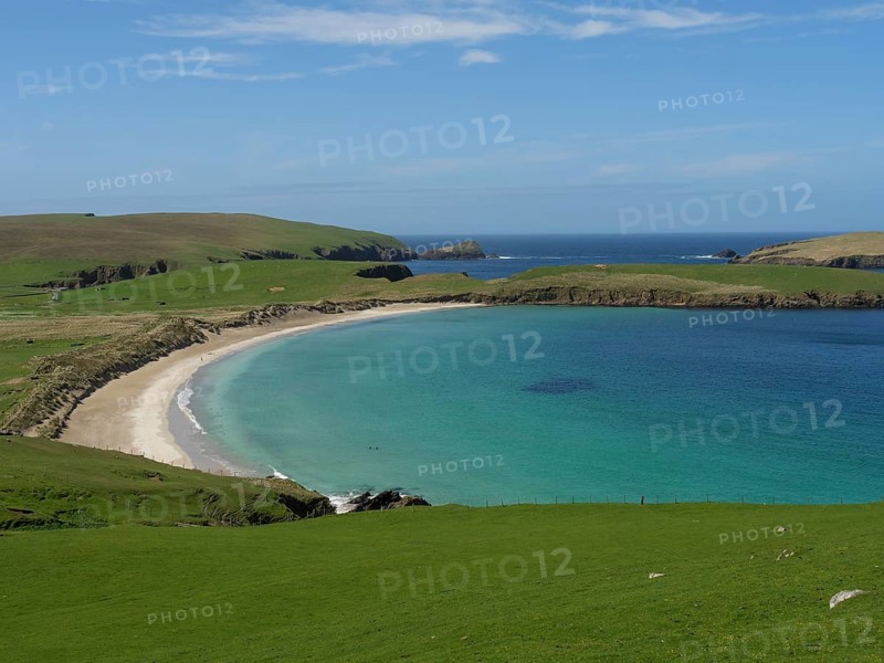 A tranquil coastal scene with a curving sandy beach, lush green meadows and clear blue water under a cloudless sky, golden beach with green meadows on a deep blue sea with blue sky, lerwick, shetland, Scotland, United Kingdom, Europe