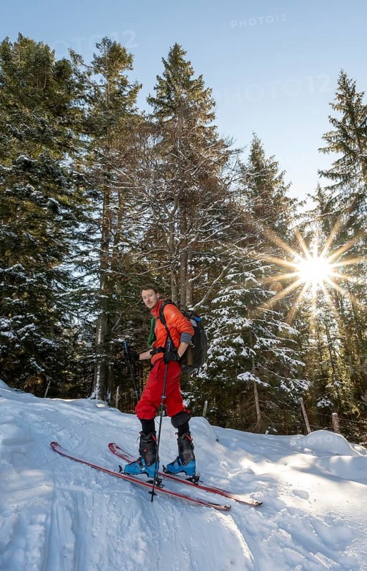 Ski tourers ascending the Aiplspitz, Sonnenstern in the forest, Mangfall mountains, Bavarian Prealps, Bavaria, Tyrol