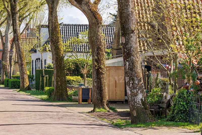 Tree-lined street with houses and gardens on a sunny spring day, historic houses and a church with small streets and lanterns, Nes, Ameland, Netherlands