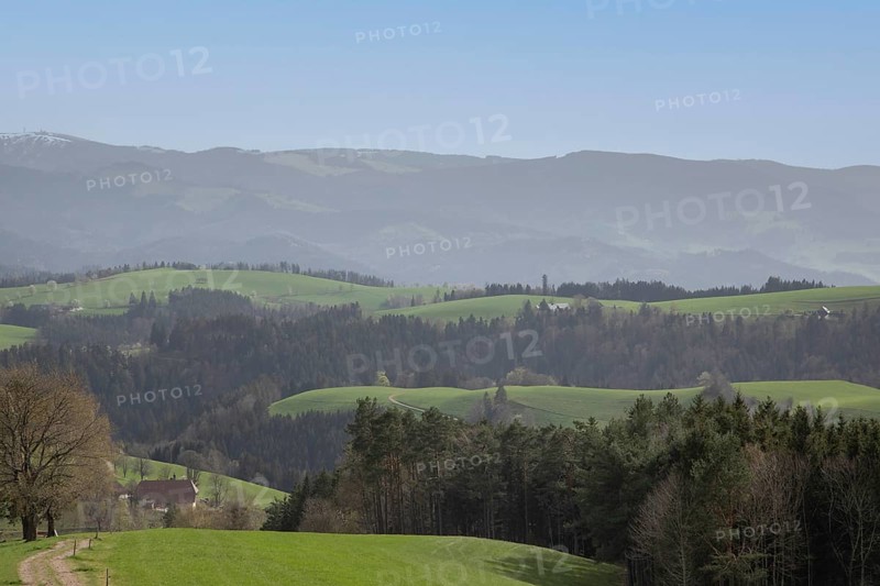 Mountains and trails in the Black Forest, Kandel, Baden-Wuerttemberg, Germany, Europe