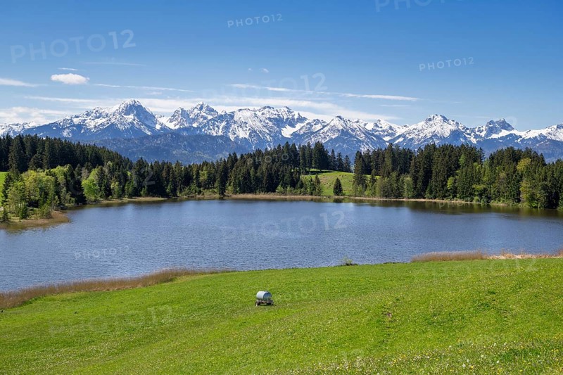 Hegratsrieder See near Fuessen, Allgaeu Alps, snow, forest, Ostallgaeu, Buching, Allgaeu, Bavaria, Germany, Europe