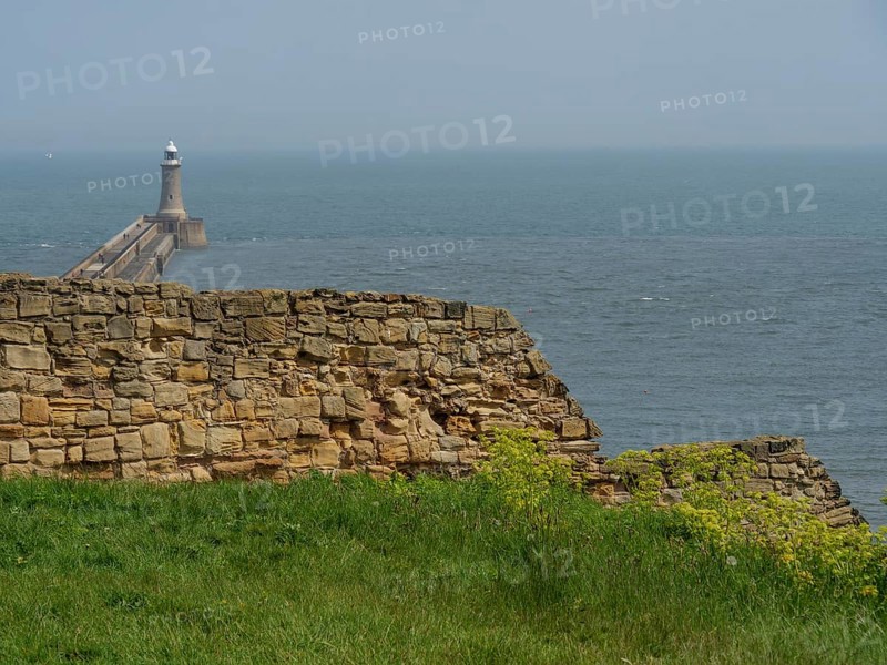 A lighthouse on a pier with old wall remains and green grass in the foreground, ruins and old stone walls by the sea, green fields with ruins, Newcastle, England, Great Britain