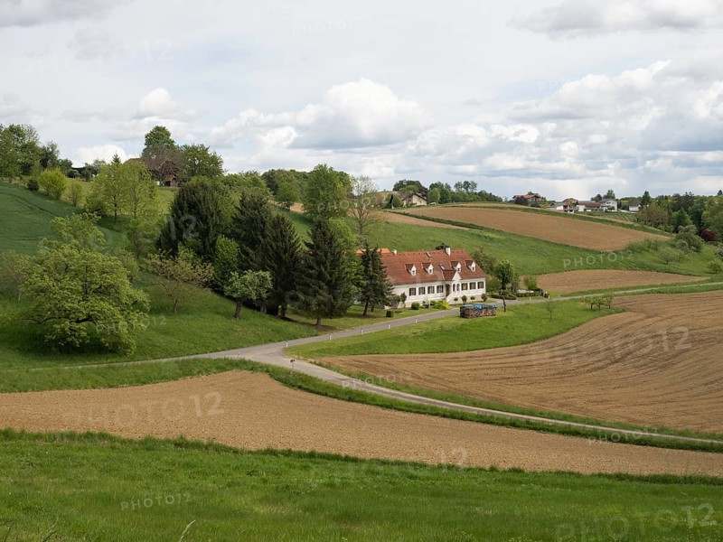 Farmland at the edge of a forest, near Riegersburg, Styria, Austria, Europe