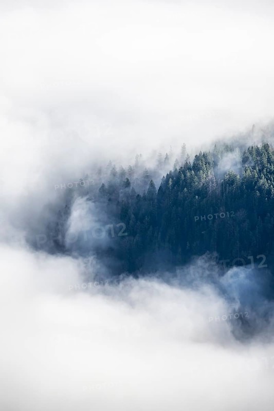 Wooded mountain looks out of cloud cover, view from Ettaler Manndl, high fog in the valley, Ammergau Alps, Bavaria, Germany, Europe
