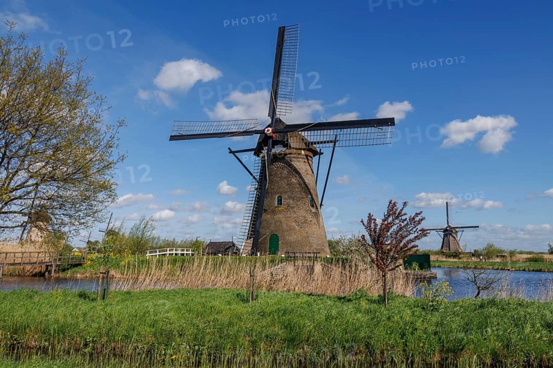 A windmill stands majestically in a natural spring landscape in a clear blue sky with clouds, windmills by a river, blue sky with clouds over fields, Kinderdijk, Netherlands
