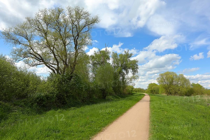 Landscape and cycle path with clouds on the southern shore of the Duemmer, inland lake, Huede, Lower Saxony, Germany, Europe