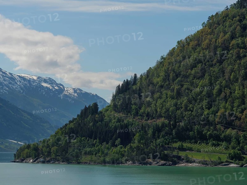 Tranquil landscape with a lake, green mountains and snow-capped peaks under a blue sky, greenish shimmering water in a fjord with snow-capped mountains and green trees, eidfjord, Norway, Europe