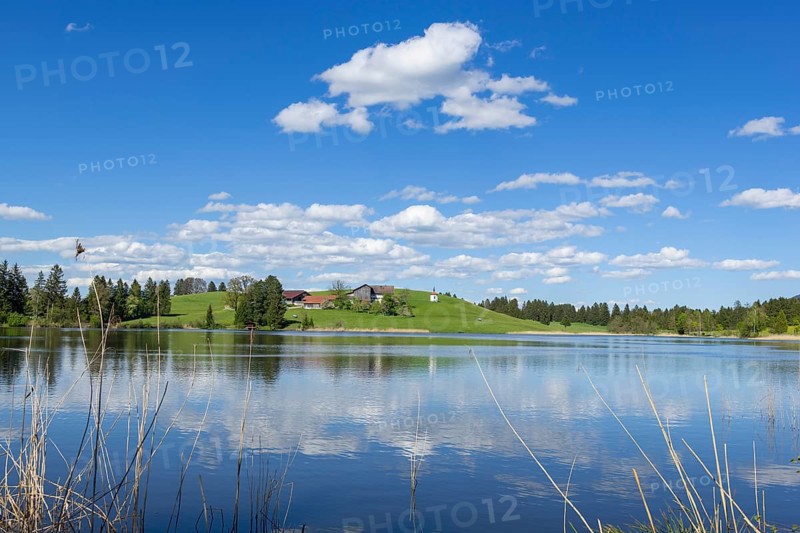 Hegratsrieder See near Fuessen, Allgaeu Alps, farm, blue cloudy sky, Allgaeu, Bavaria, Germany, Europe