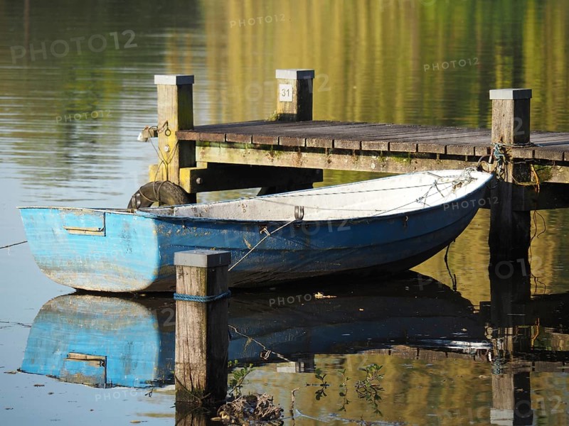 A blue boat is moored at the jetty and reflected in the still waters of the lake, rowing boats and pedal boats on a small wooden jetty in the lake surrounded by trees, Borken Germany